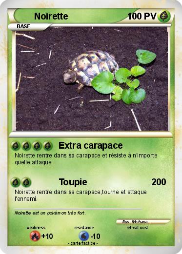 Pokemon Noirette