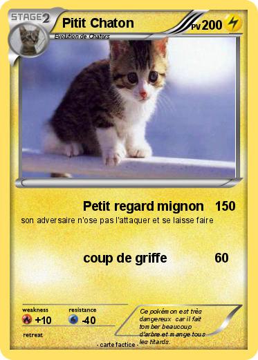 Pokemon Pitit Chaton