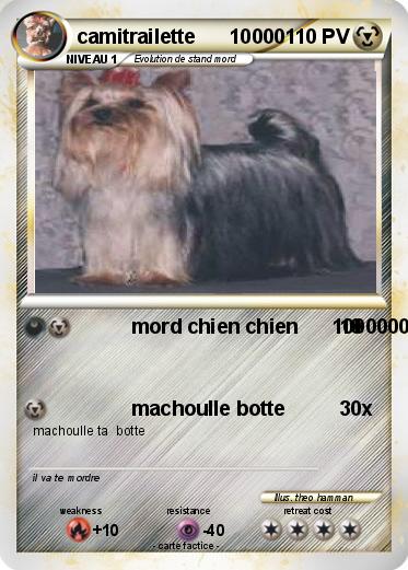 Pokemon camitrailette      10000