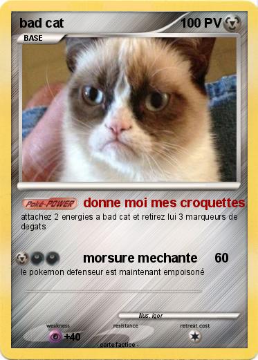 Pokemon bad cat