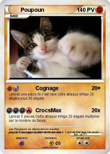 Pokemon Poupoun