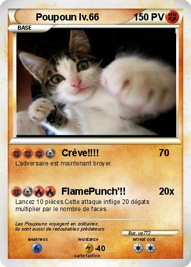 Pokemon Poupoun lv.66