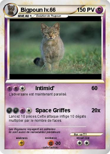 Pokemon Bigpoun lv.66