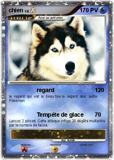 Pokemon chien