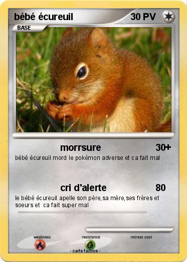 Pokemon bébé écureuil