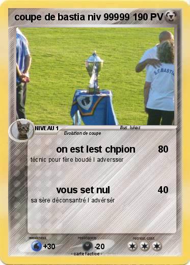 Pokemon coupe de bastia niv 99999