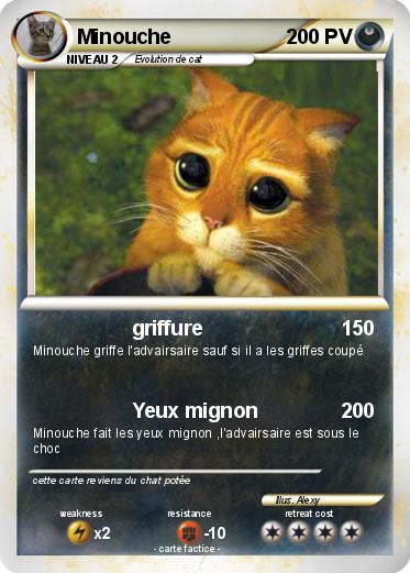 Pokemon Minouche
