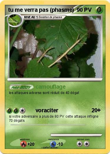 Pokemon tu me verra pas (phasme)