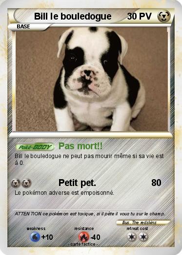 Pokemon Bill le bouledogue