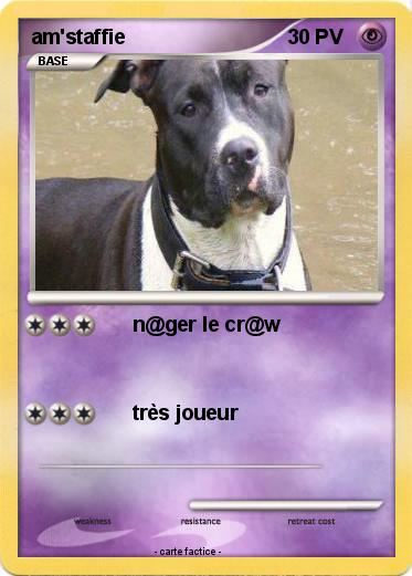 Pokemon am'staffie