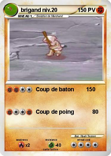 Pokemon brigand niv.20