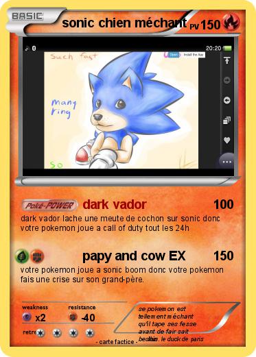 Pokemon sonic chien méchant