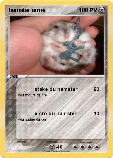 Pokemon hamster armé