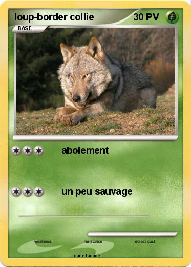 Pokemon loup-border collie