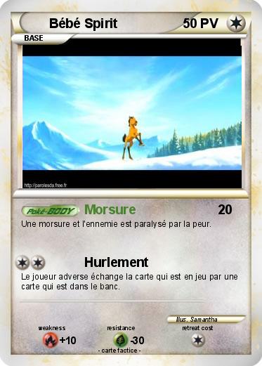 Pokemon Bébé Spirit
