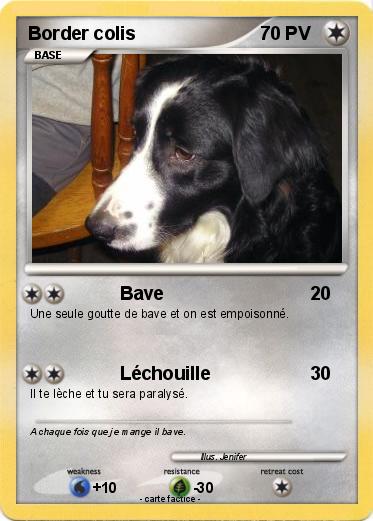 Pokemon Border colis