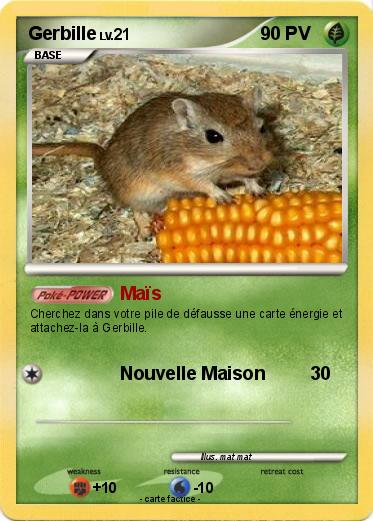 Pokemon Gerbille
