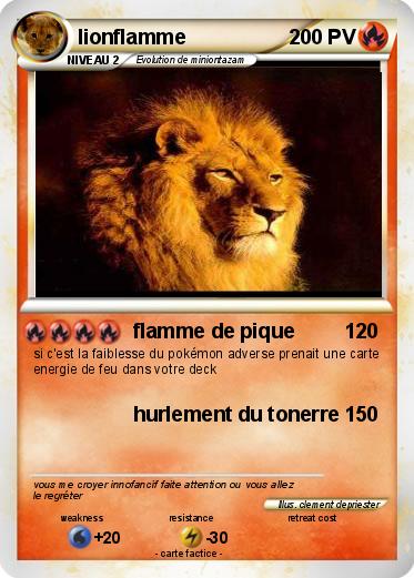 Pokemon lionflamme