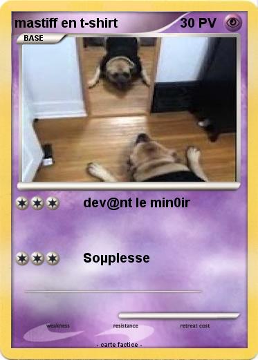 Pokemon mastiff en t-shirt
