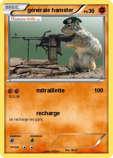 Pokemon générale hamster