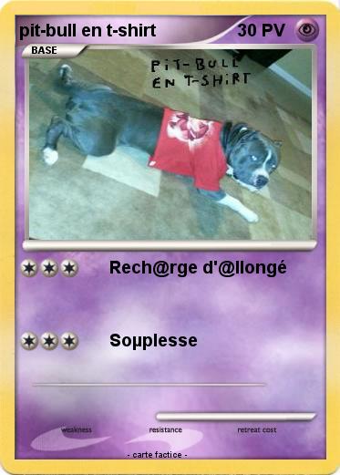 Pokemon pit-bull en t-shirt