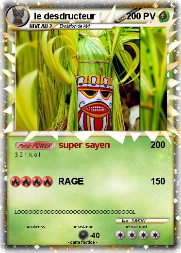 Pokemon le desdructeur