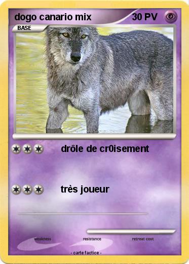 Pokemon dogo canario mix