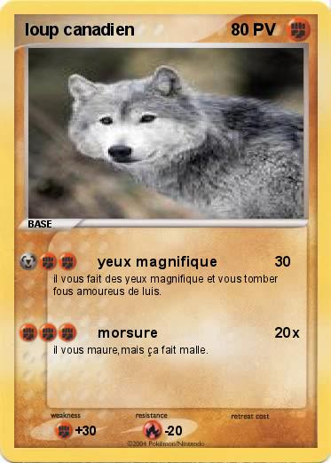 Pokemon loup canadien
