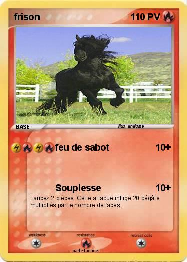 Pokemon frison