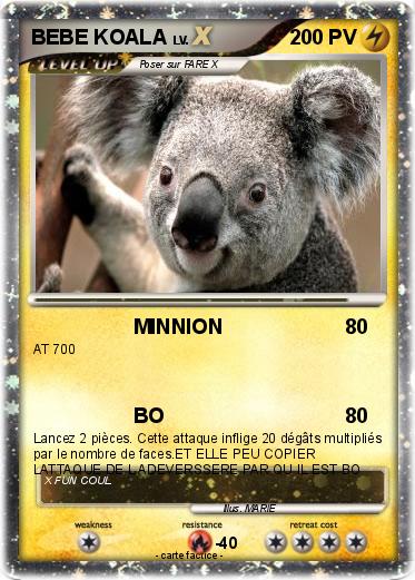 Pokemon BEBE KOALA