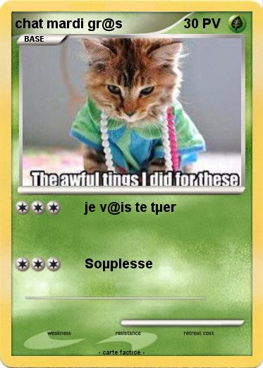 Pokemon chat mardi gr@s