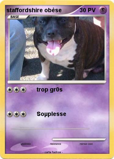 Pokemon staffordshire obèse