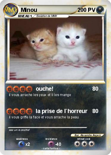 Pokemon Minou