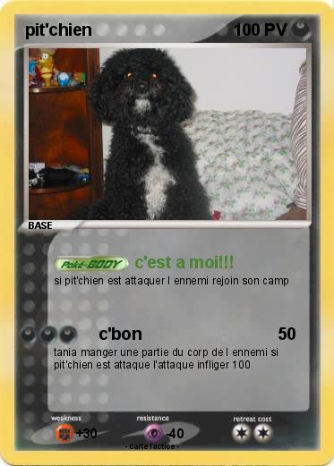 Pokemon pit'chien