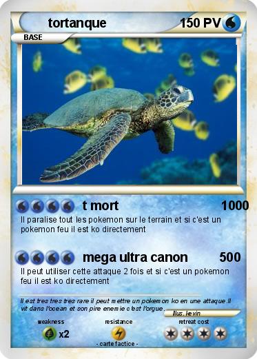 Pokemon tortanque