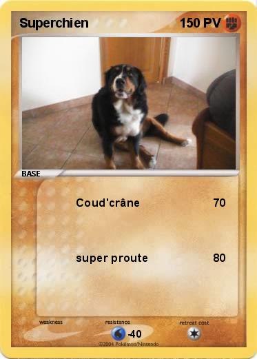 Pokemon Superchien