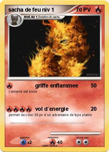 Pokemon sacha de feu niv 1