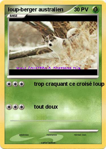 Pokemon loup-berger australien