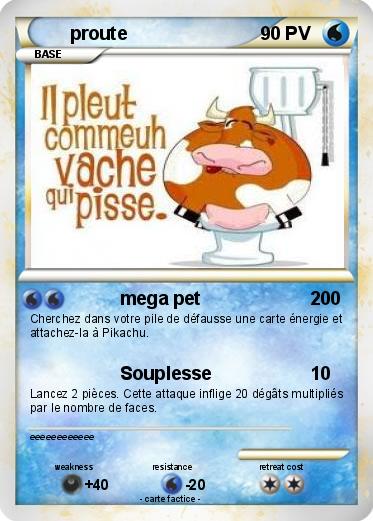 Pokemon proute