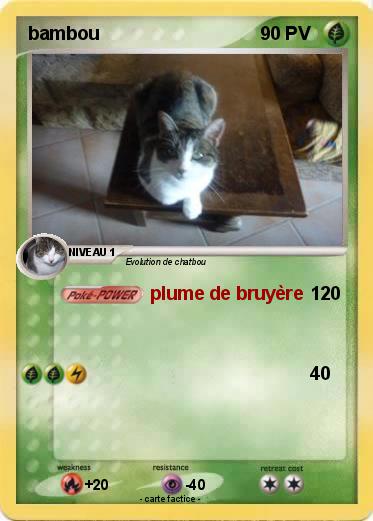 Pokemon bambou