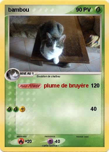 Pokemon bambou