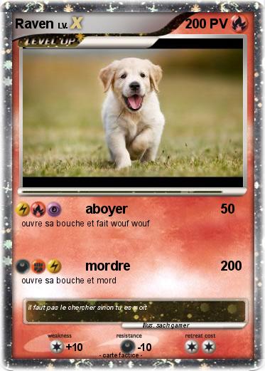 Pokemon Raven