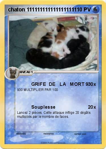 Pokemon chaton 111111111111111111
