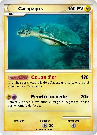 Pokemon Carapagos