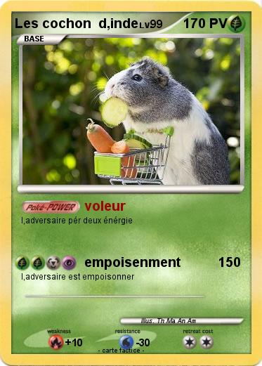 Pokemon Les cochon  d,inde