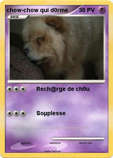Pokemon chow-chow qui d0rme