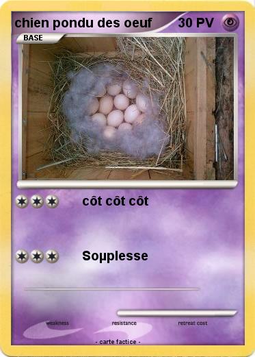 Pokemon chien pondu des oeuf