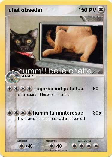 Pokemon chat obséder