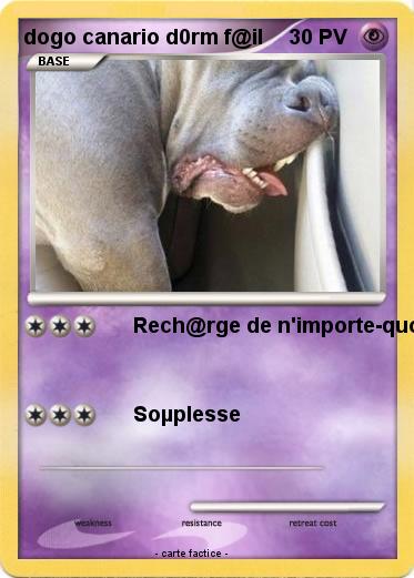 Pokemon dogo canario d0rm f@il