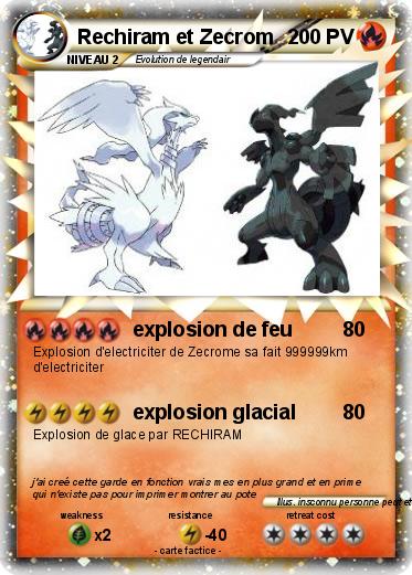 Pokemon Rechiram et Zecrom
